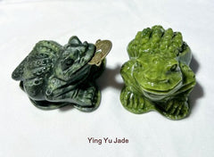 Wealth and Prosperity" Classic Jade Three-Legged Money Toad Frog with Coin- (Toad-9)