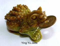 "Little Guy" Good Luck Auspicious Jade "Three Legged Money Toad"  Jade Frog Carving  (Toad-6)