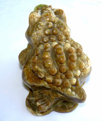 Vintage Large and Auspicious Chinese Jade Three-Leg Money Toad with Coin (TOAD-888)