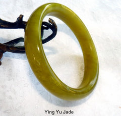 Classic Olive Green "Spleen Meridian"  Chinese Jade Bangle 67mm  (NJ2580)