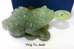 Best Quality Chinese Jade Auspicious Three Legged Money Toad with Coin (Toad-18)